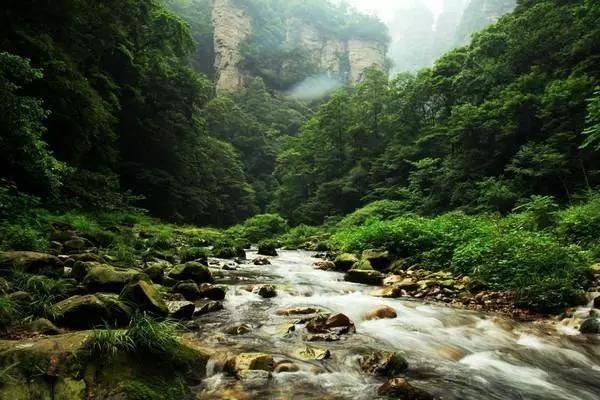 怎样创造爱情的能力，主动去爱的能力？游戏画面