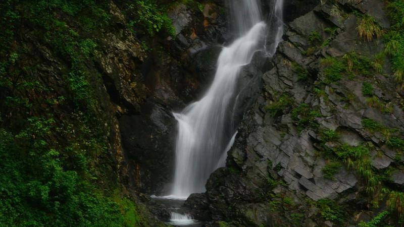 迷雾求生