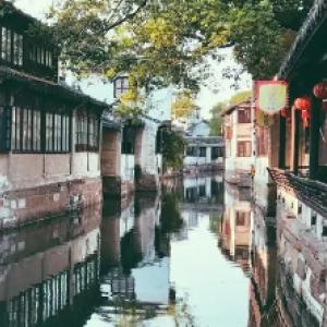 人类：一败涂地